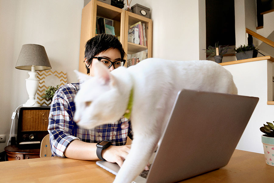 La ayuda que necesitas frente a imprevistos econ&oacute;micos